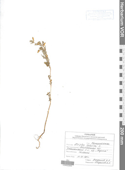 VOR 0022940