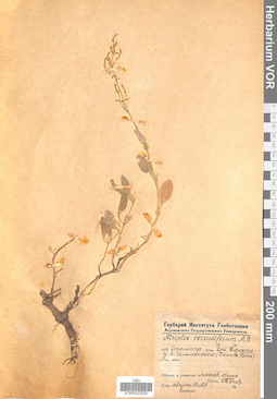 VOR 0022530