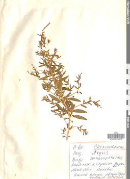 VOR 0023076