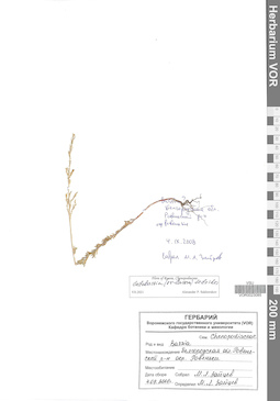 VOR 0023085
