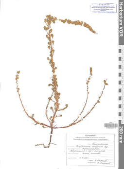 VOR 0023078
