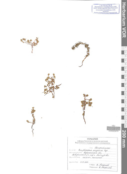 VOR 0023079