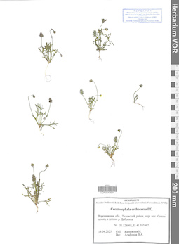 VOR 0042644