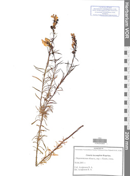 VOR 0043809