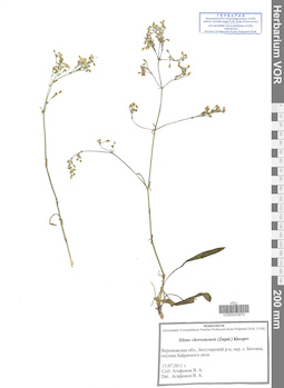 VOR 0043870