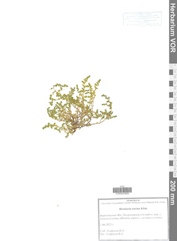 VOR 0043892