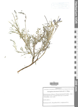 VOR 0043896