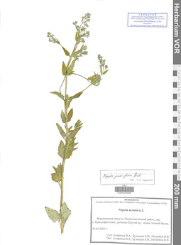 VOR 0043926
