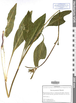 VOR 0043930