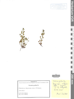VOR 0043946