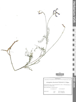 VOR 0043961
