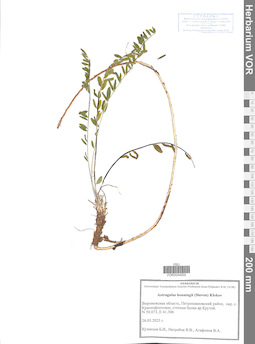 VOR 0044002
