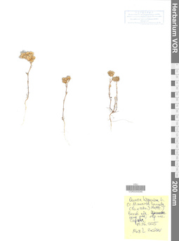 VOR 0044046