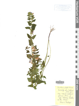 VOR 0044050