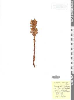 VOR 0044051