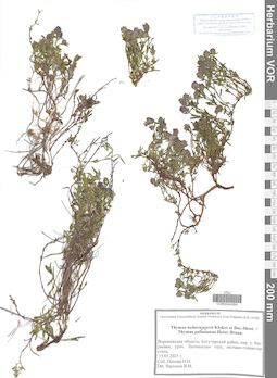 VOR 0044064