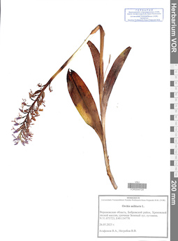 VOR 0044124