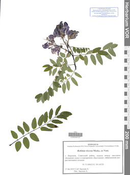 VOR 0044127
