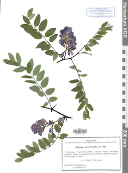 VOR 0044128
