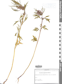 VOR 0044172
