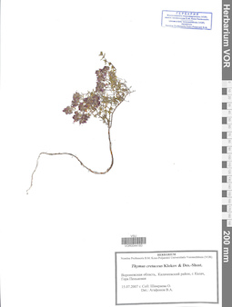 VOR 0044183
