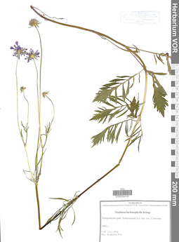 VOR 0044191