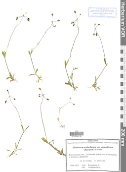 VOR 0044192