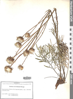 VOR 0044193