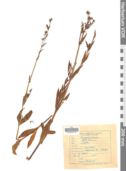 VOR 0044194