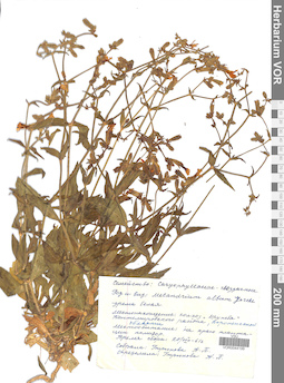 VOR 0044199