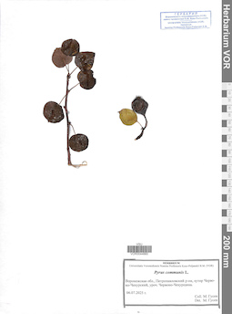 VOR 0044660