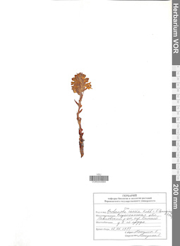 VOR 0044664
