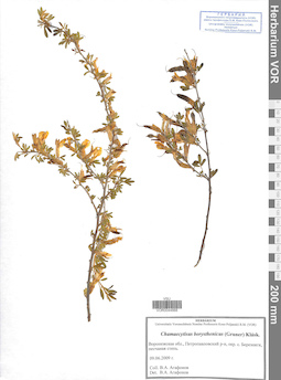 VOR 0044668