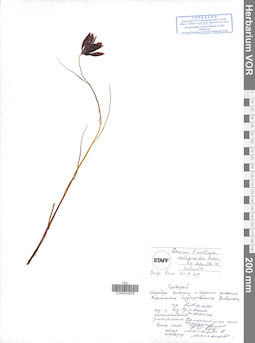 VOR 0044678