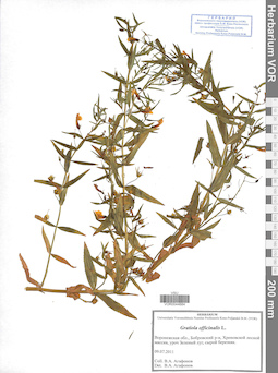 VOR 0044684