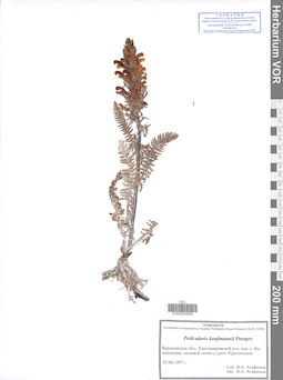 VOR 0044693