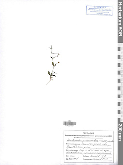 VOR 0044694