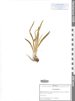 VOR 0044772