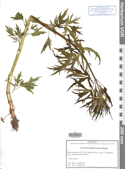VOR 0044773