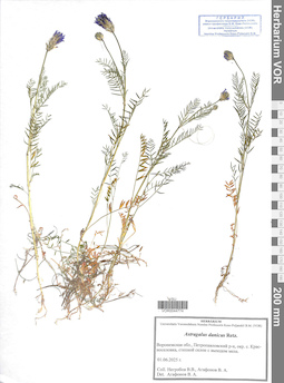 VOR 0044774