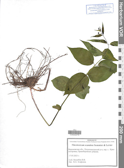 VOR 0044776