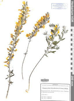 VOR 0044781