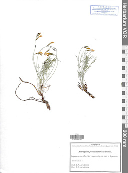 VOR 0044782