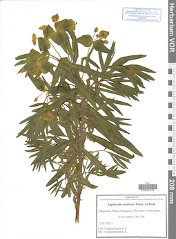 VOR 0044789