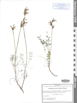 VOR 0044792