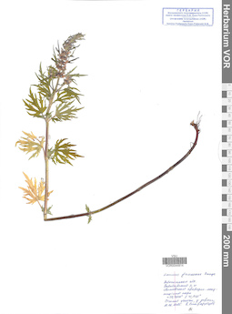 VOR 0044814