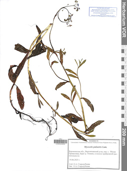 VOR 0044830