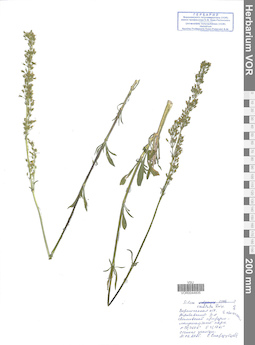 VOR 0044835